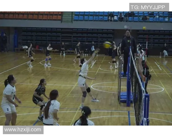 深圳排球队心理素质创新高引发关注排球界新标杆的崛起与挑战 深圳排球队心理素质创新高引发关注排球界新标杆的崛起与挑战