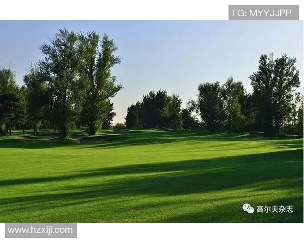 北京篮球队的华丽转身与未来展望锦标赛背后的故事与挑战