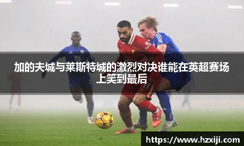 加的夫城与莱斯特城的激烈对决谁能在英超赛场上笑到最后